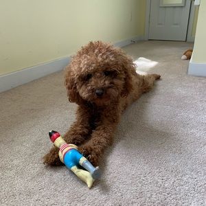 Meet your Posher, Lorraine